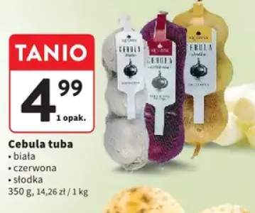 Cebula tuba czerwona