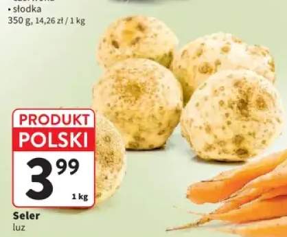 Seler luz polski