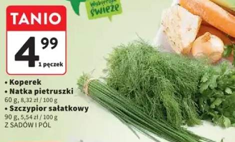 Koperek Z Sadów i Pól