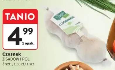 Czosnek Z Sadów i Pól