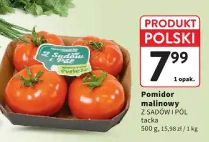 Pomidor malinowy Z Sadów i Pól tacka polski