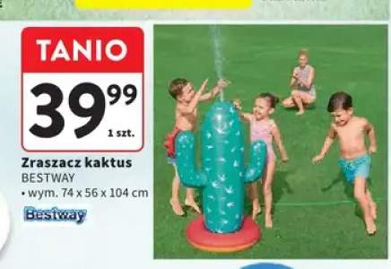 Zraszacz kaktus BESTWAY wym. 74x56x104cm