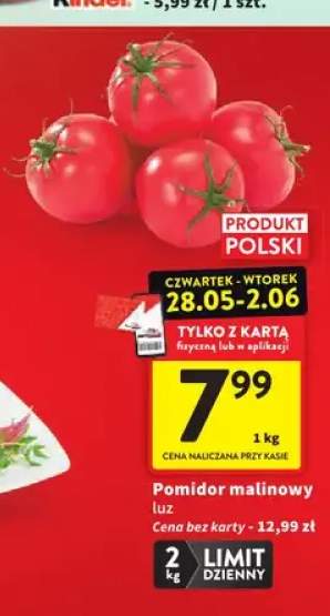 Pomidor malinowy luz polski