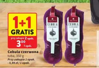 Cebula czerwona tuba