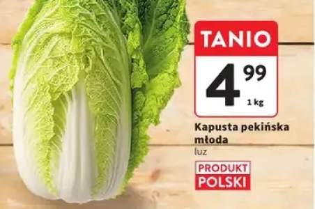 Kapusta pekińska młoda polska luz