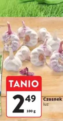 Czosnek luz
