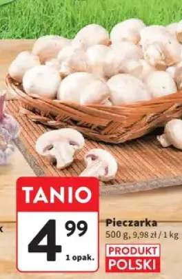 Pieczarka