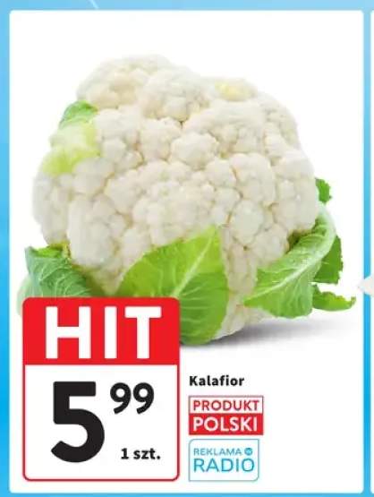 Kalafior polski