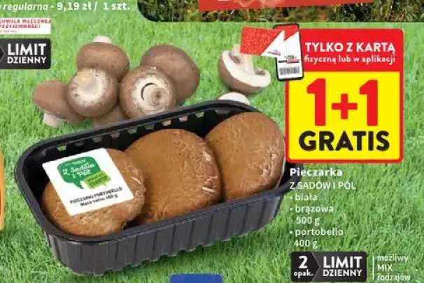 Pieczarka portobello Z Sadów i Pól