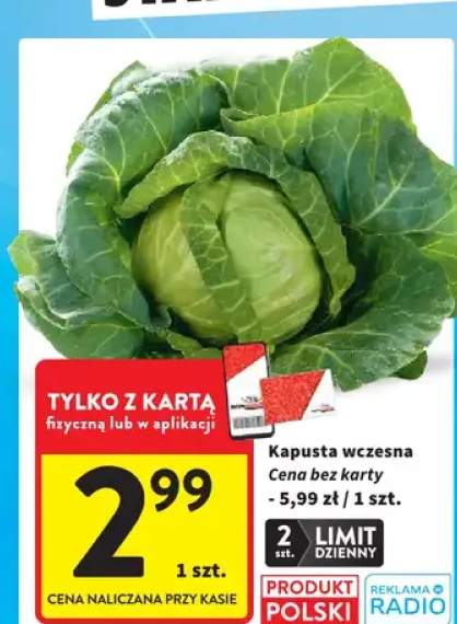 Kapusta wczesna polska