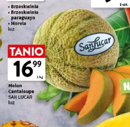 Melon Cantaloupe San Lucar luz