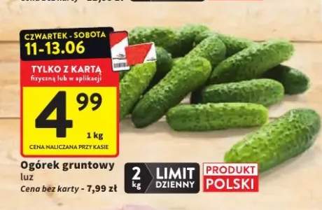 Ogórek gruntowy luz
