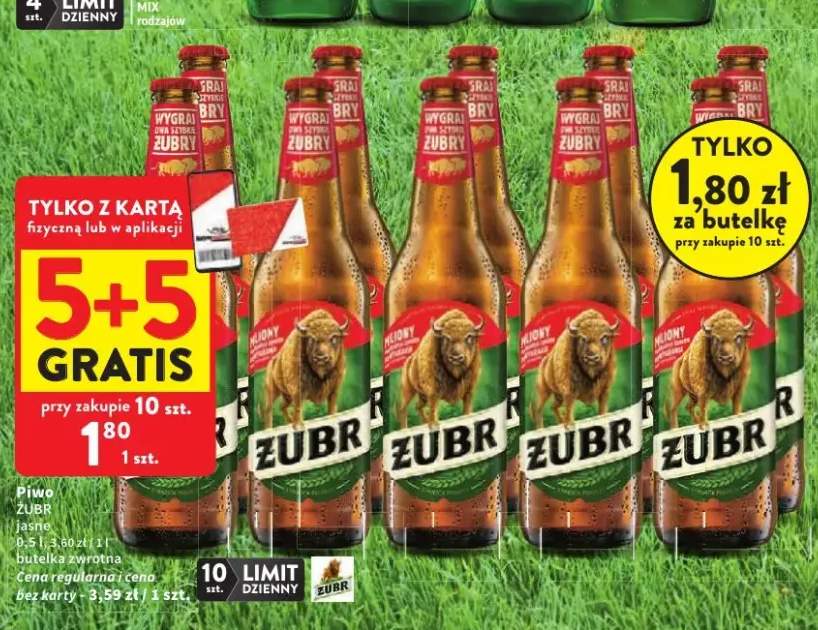 Piwo Żubr jasne