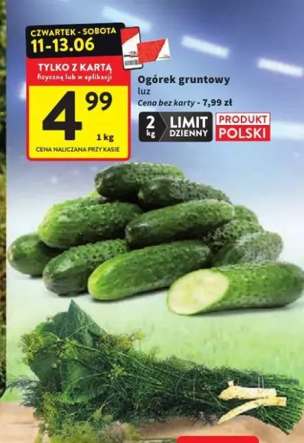 Ogórek gruntowy luz