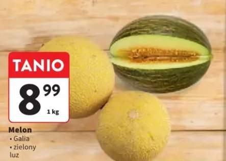Melon Galia luz
