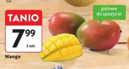 Mango