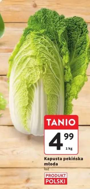 Kapusta pekińska młoda