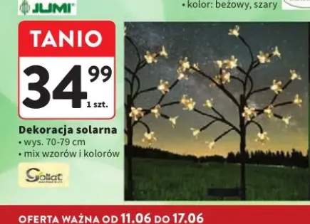 Dekoracja solarna Gollat