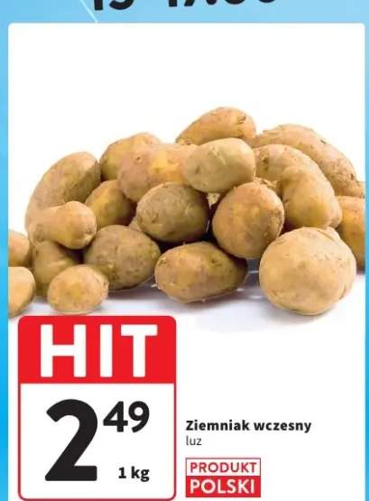 Ziemniak wczesny luz