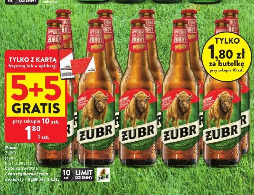 Piwo Żubr jasne