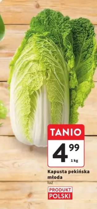 Kapusta pekińska młoda