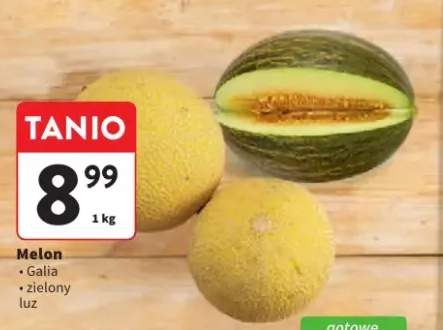 Melon Galia luz +1 wariant