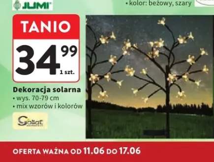 Dekoracja solarna Gollat