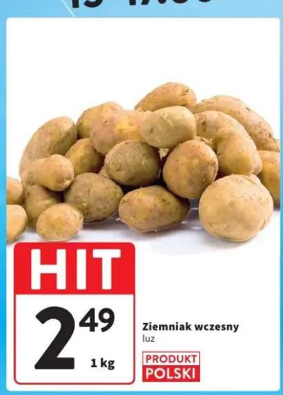 Ziemniak wczesny luz