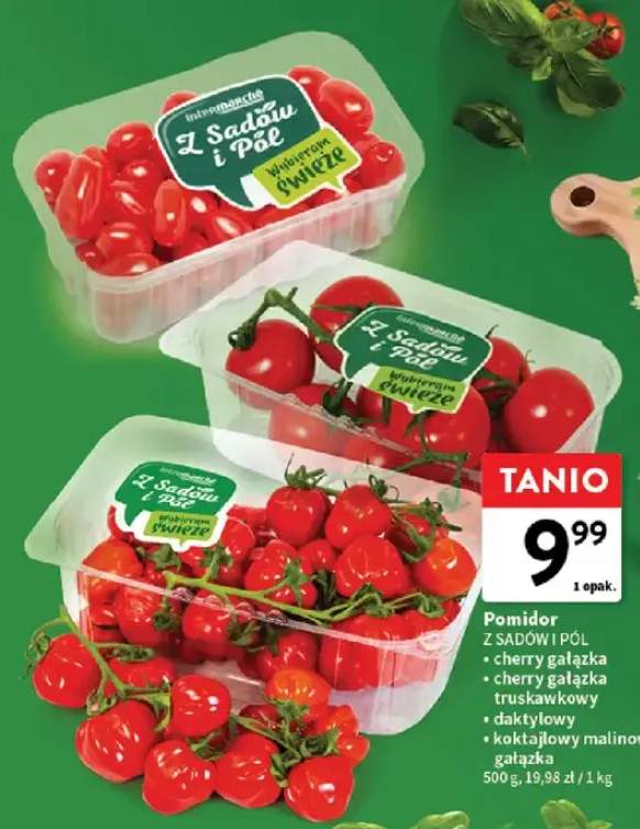 Pomidor cherry gałązka Z Sadów i Pól +3 warianty