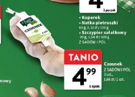 Czosnek Z Sadów i Pól 3-pak