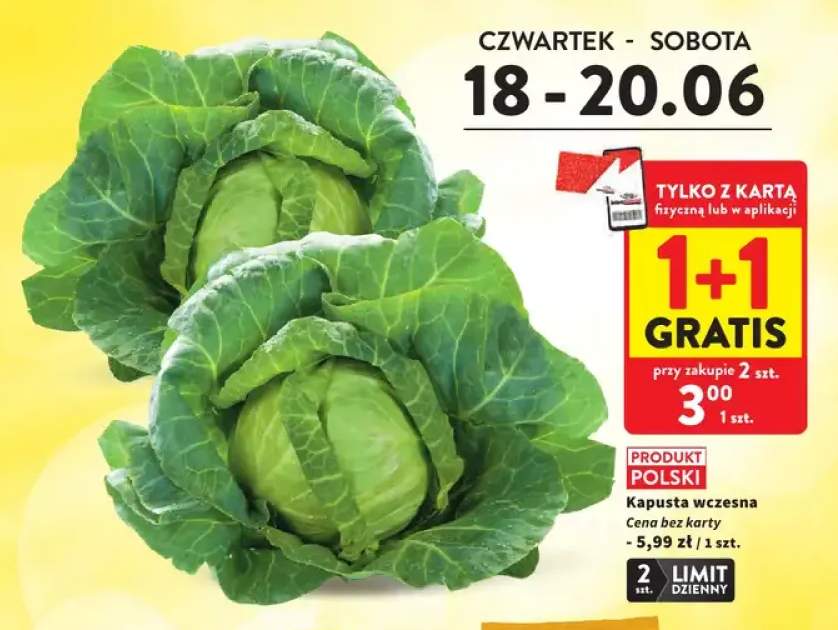 Kapusta wczesna