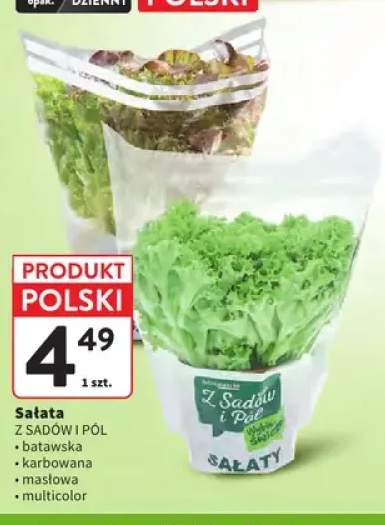 Sałata batawska Z Sadów i Pól +3 warianty
