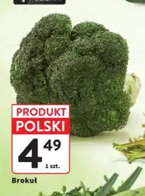 Brokuł polski