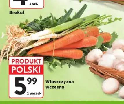 Włoszczyzna wczesna polska