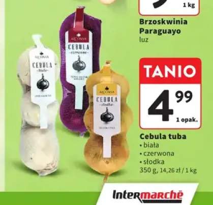 Cebula biała tuba +2 warianty