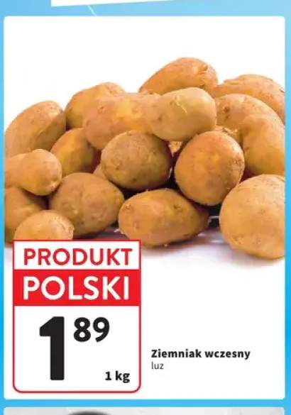Ziemniak wczesny luz