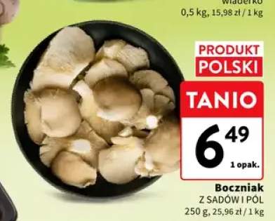 Boczniak świeży Z Sadów i Pól