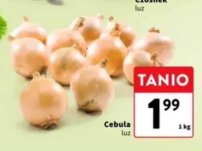Cebula