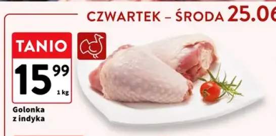 Golonka z indyka