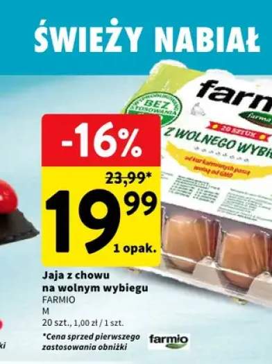 Jaja z chowu na wolnym wybiegu Farmio M