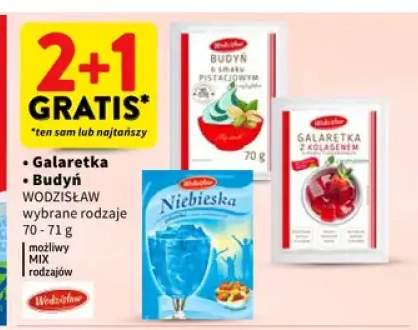 Budyń o smaku pistacjowym Wodzisław +2 warianty