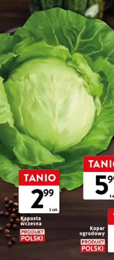 Kapusta wczesna