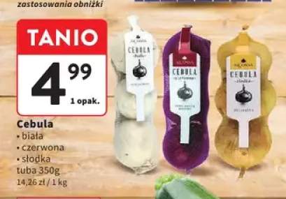 Cebula biała +2 warianty