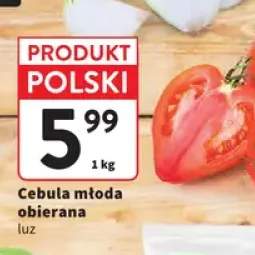 Cebula młoda obierana luz