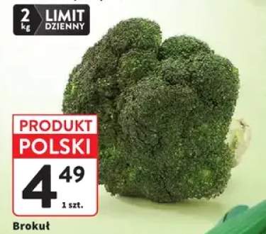 Brokuł
