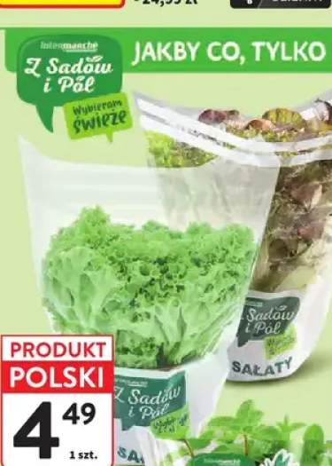 Sałata batawska Z Sadów i Pól +3 warianty