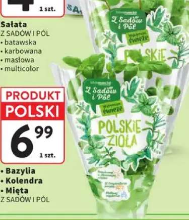Bazylia Z Sadów i Pól +2 warianty