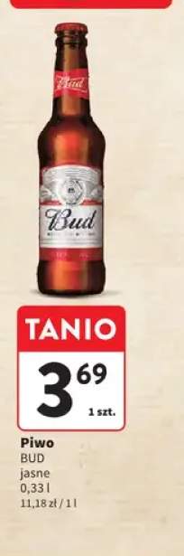 Piwo Bud jasne