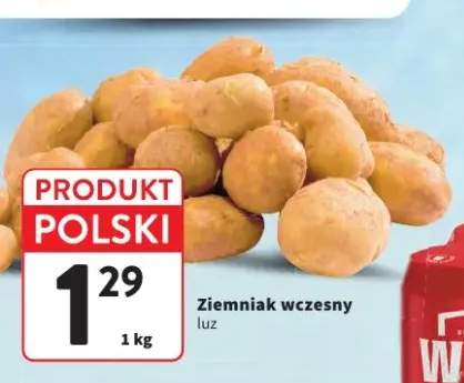 Ziemniak wczesny luz