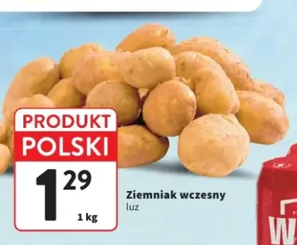 Ziemniak wczesny luz